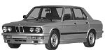 BMW E28 C3494 Fault Code